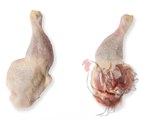 Chicken leg without backbone